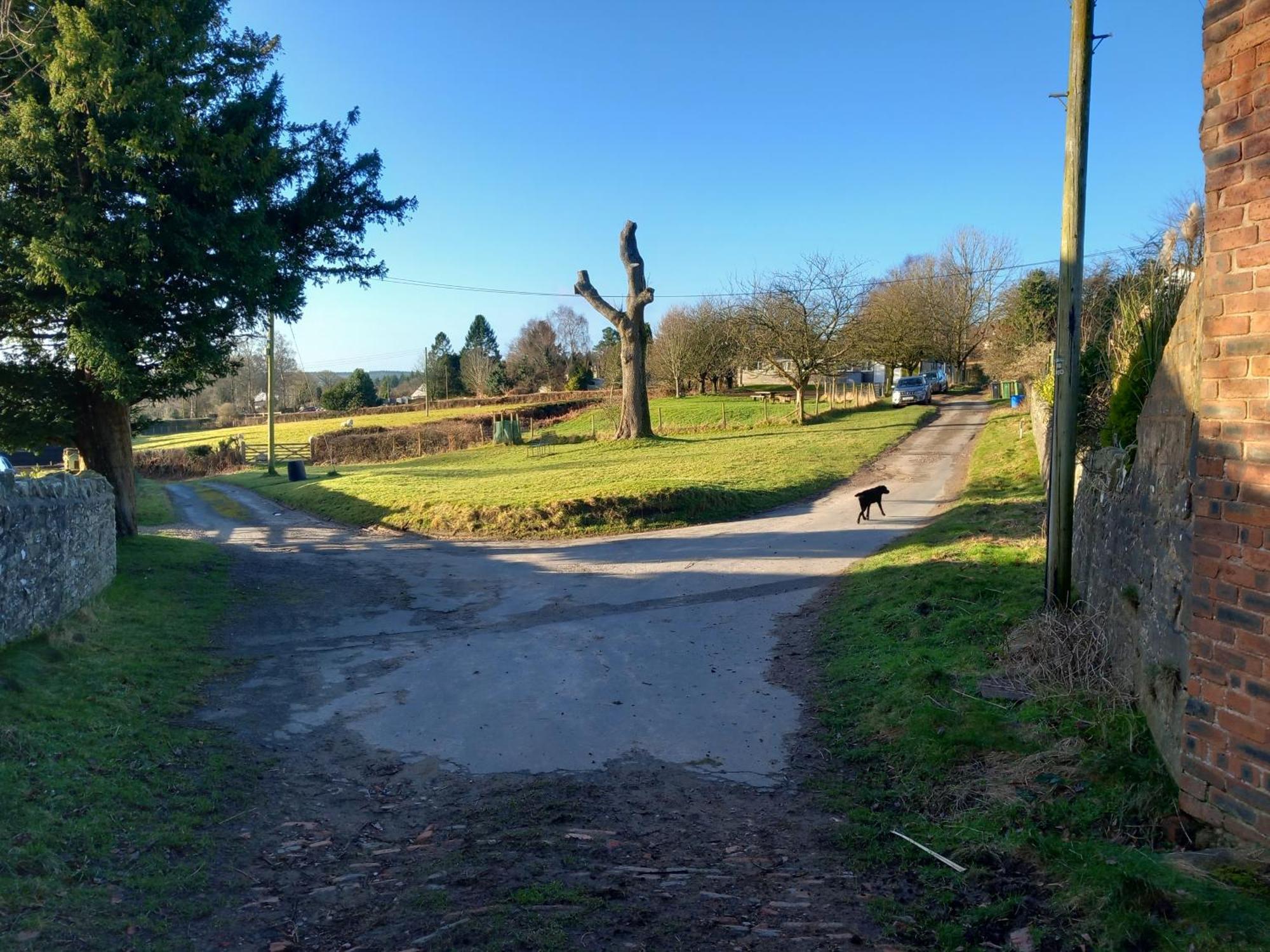 The Bungalow, Forest Of Dean 콜퍼드 외부 사진