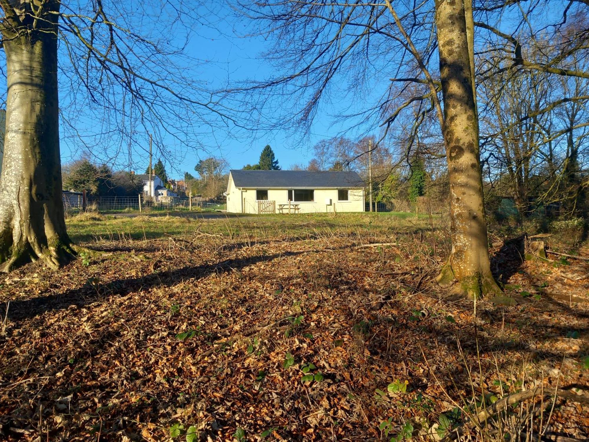 The Bungalow, Forest Of Dean 콜퍼드 외부 사진