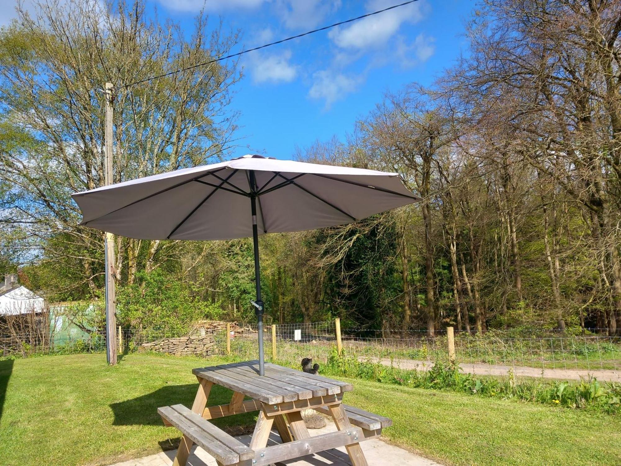 The Bungalow, Forest Of Dean 콜퍼드 외부 사진