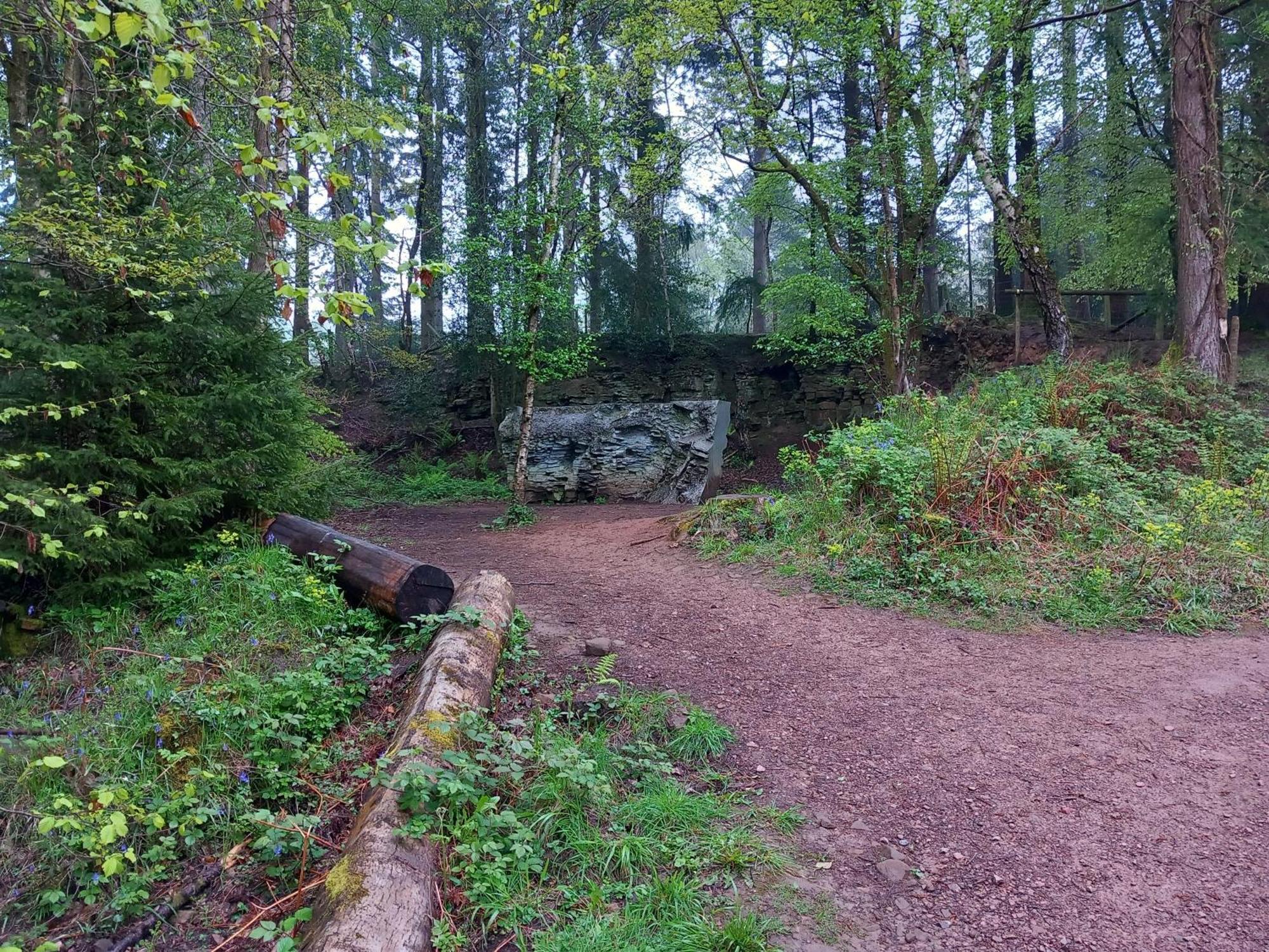 The Bungalow, Forest Of Dean 콜퍼드 외부 사진
