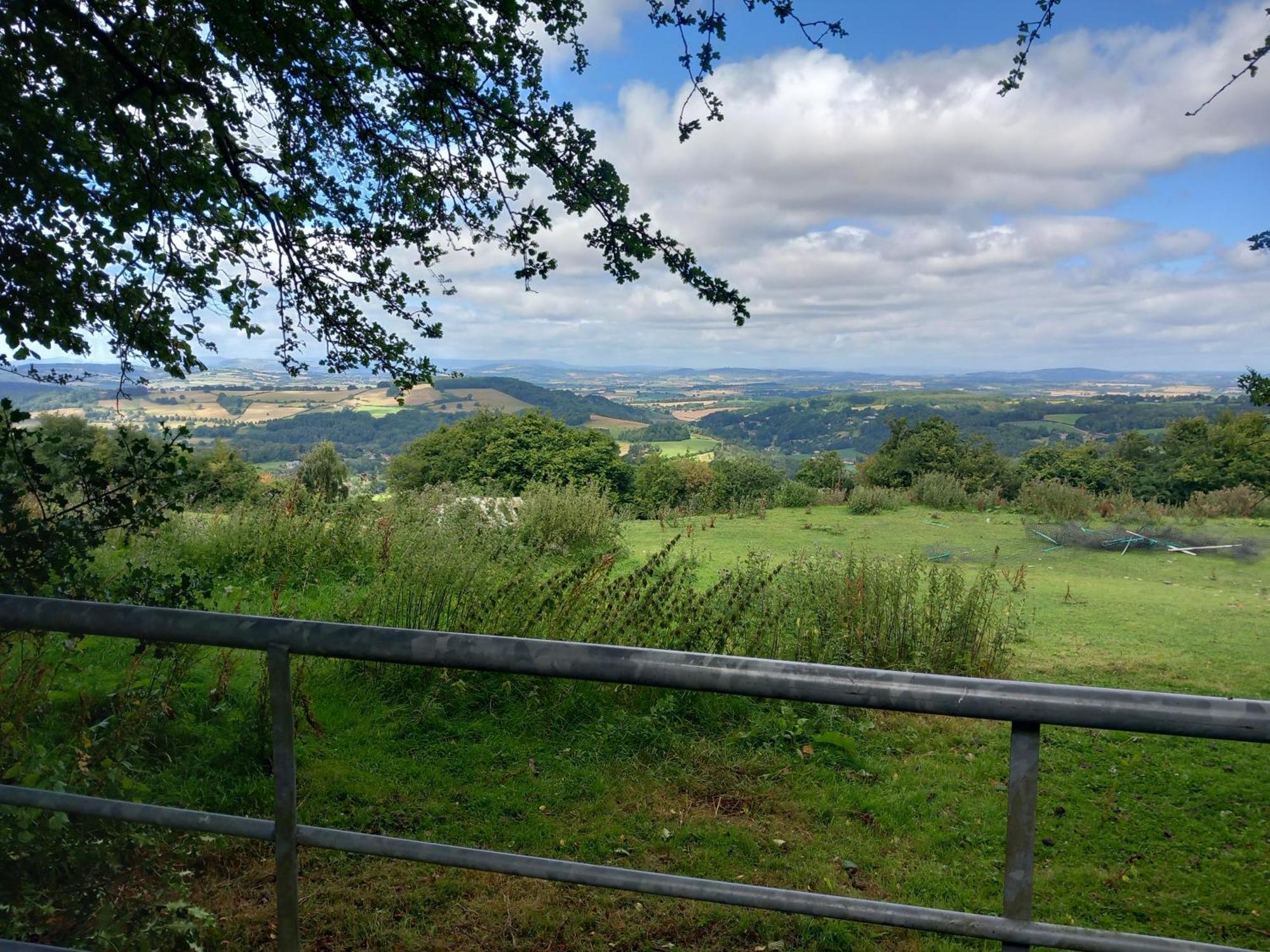 The Bungalow, Forest Of Dean 콜퍼드 외부 사진