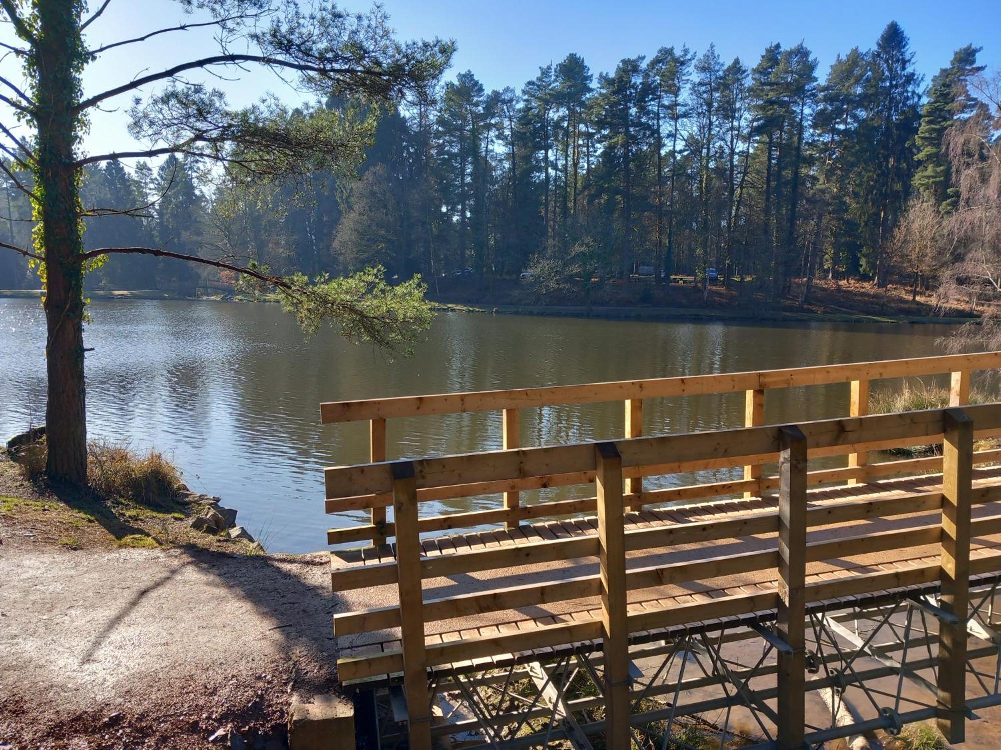 The Bungalow, Forest Of Dean 콜퍼드 외부 사진